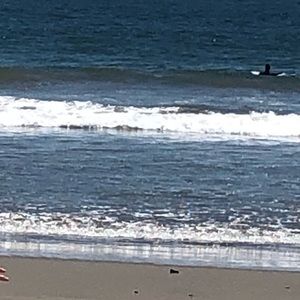 Meet your Posher, Ericka